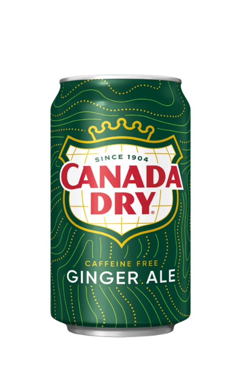 Ginger Ale (355ml)
